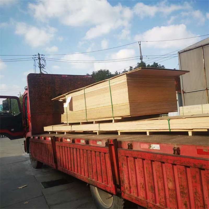 福建福州晋安至塔城货运专线，一站式物流服务助您成功